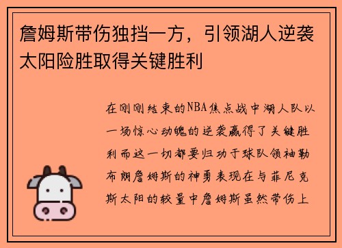 詹姆斯带伤独挡一方，引领湖人逆袭太阳险胜取得关键胜利