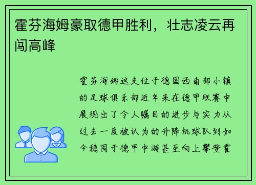 霍芬海姆豪取德甲胜利，壮志凌云再闯高峰